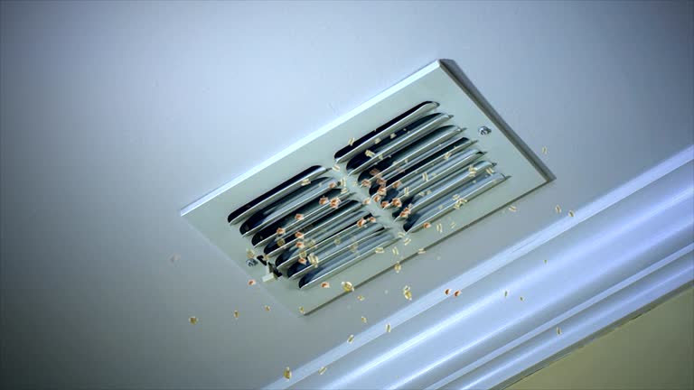 Best Affordable Air Duct Cleaning  in Sewaren, NJ